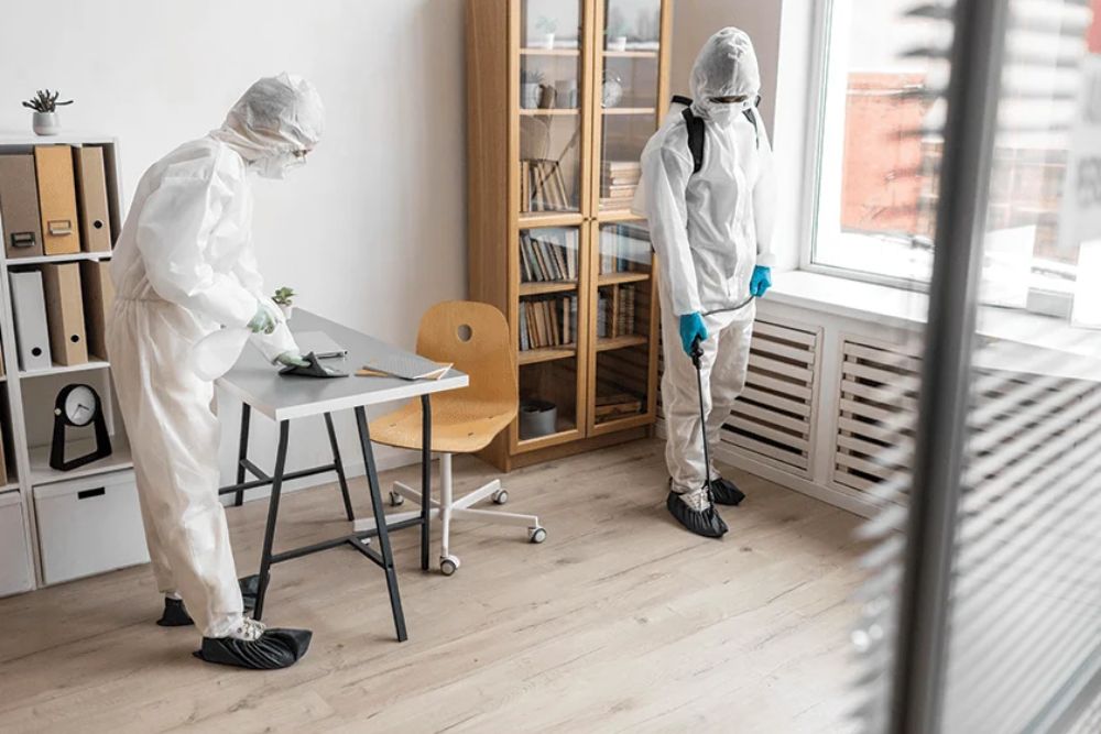 Two people wearing protective clothing stand in front of a desk, highlighting a home pest control service in Seattle, WA.