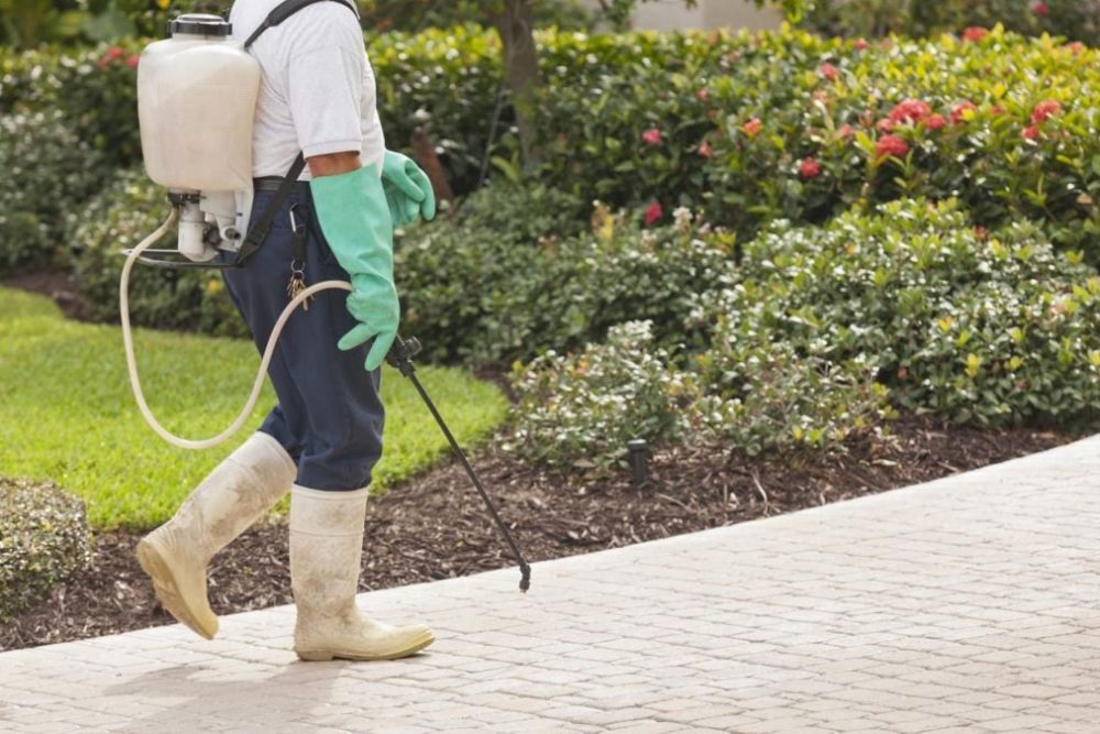 A man with a sprayer walks on a sidewalk, offering pest control services in Seattle, WA.